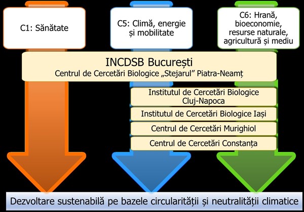 Directiilor de cercetare INCDSB